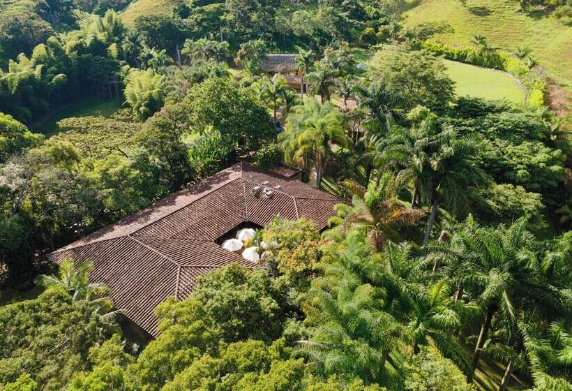 酒店 Palma Real Coliving