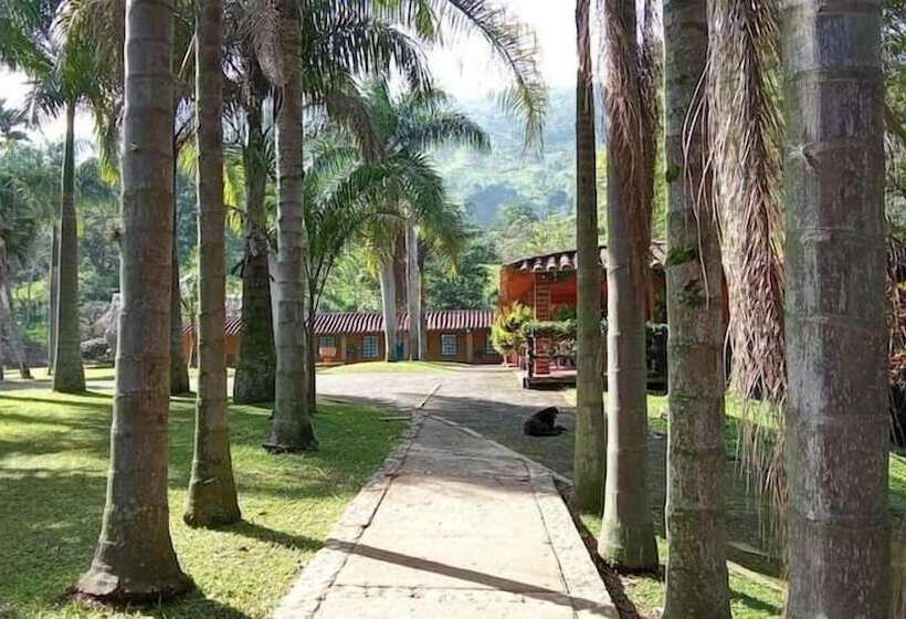 酒店 Palma Real Coliving