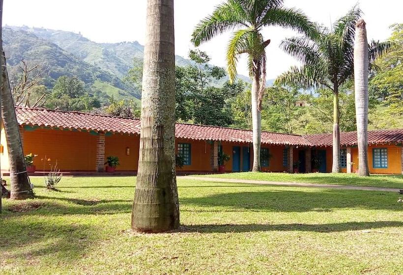 酒店 Palma Real Coliving