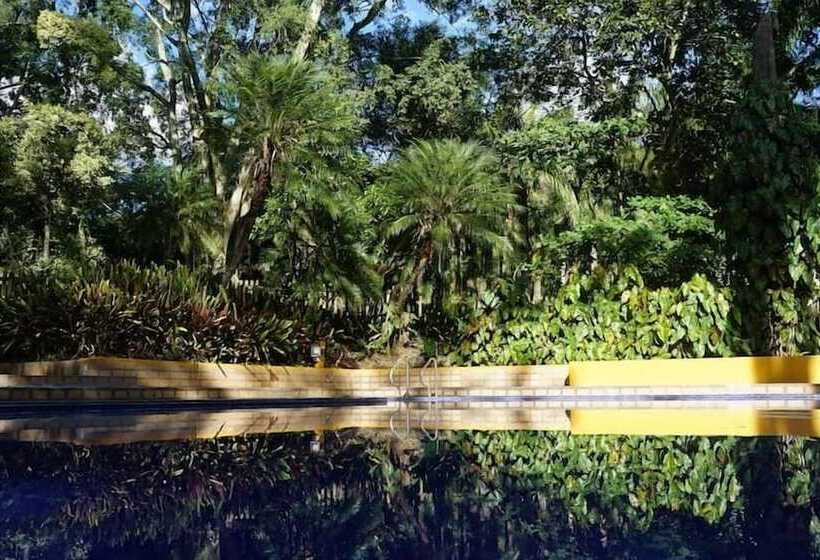 酒店 Palma Real Coliving