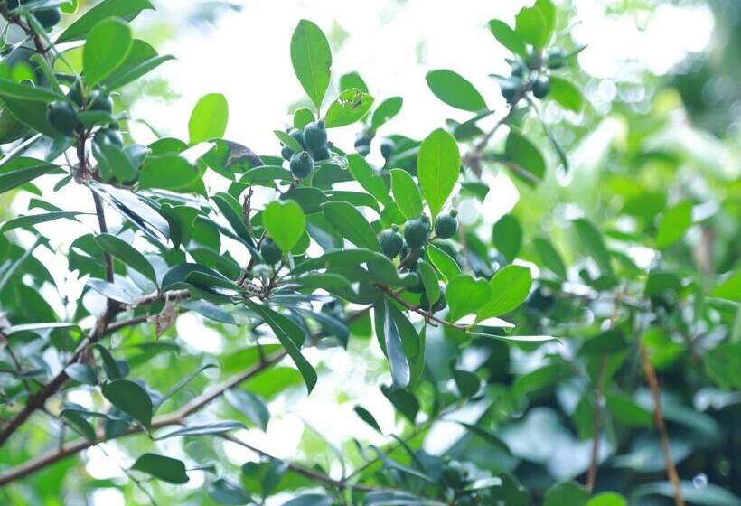 ホテル Peacock Heaven Ahangama