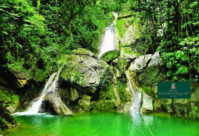 ホテル Plaza Del Bosque Inn