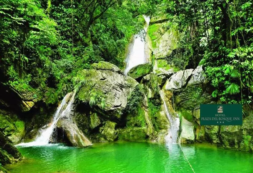 ホテル Plaza Del Bosque Inn