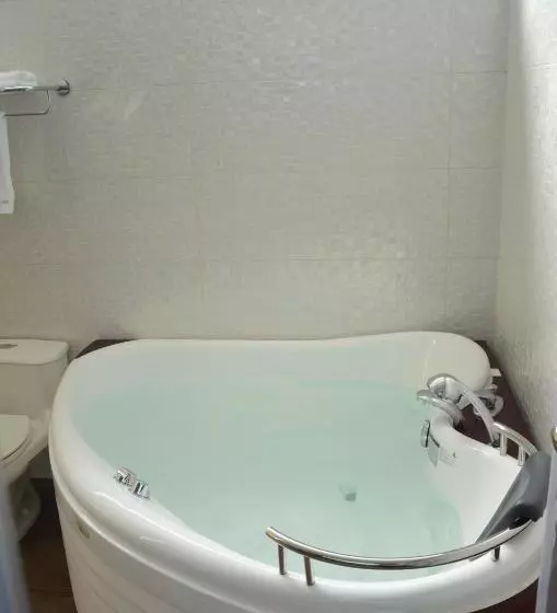 ホテル Plaza Del Bosque Inn