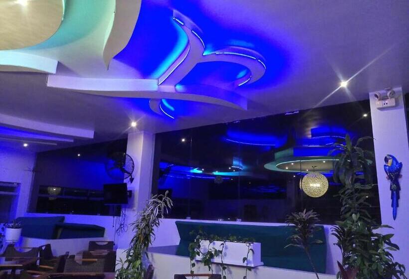 ホテル Plaza Del Bosque Inn