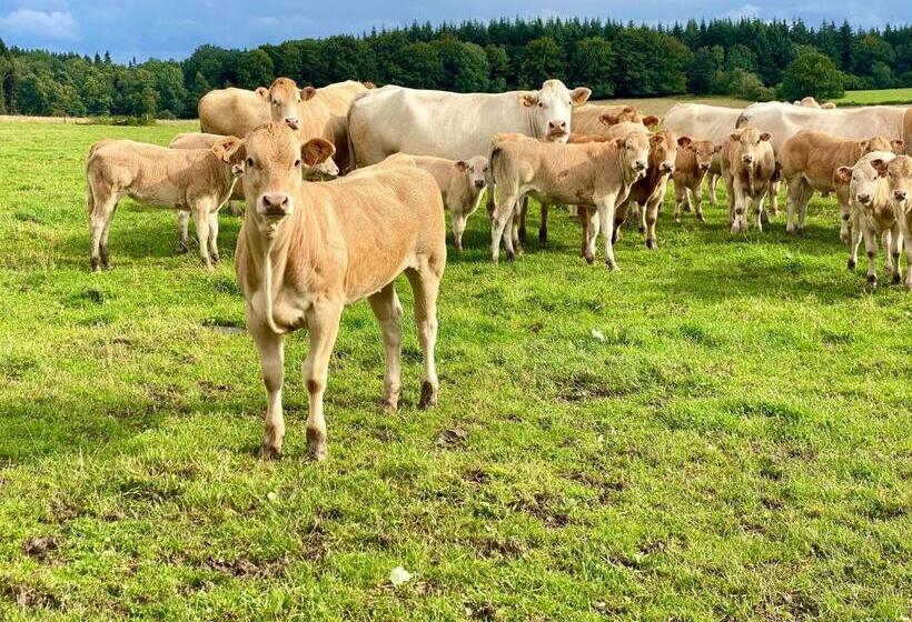 בית מלון כפרי Quiétude à La Ferme
