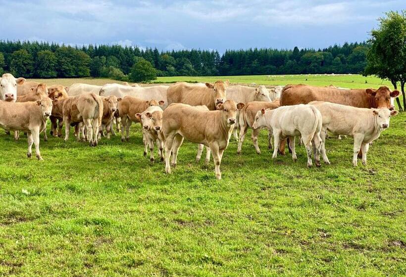 בית מלון כפרי Quiétude à La Ferme