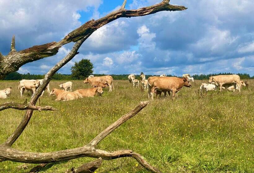 בית מלון כפרי Quiétude à La Ferme