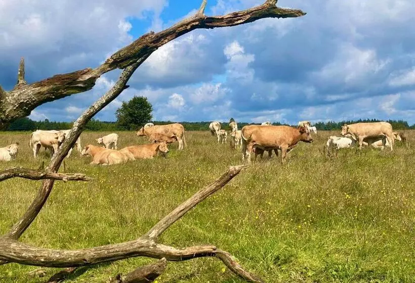 Hotelli Quiétude à La Ferme