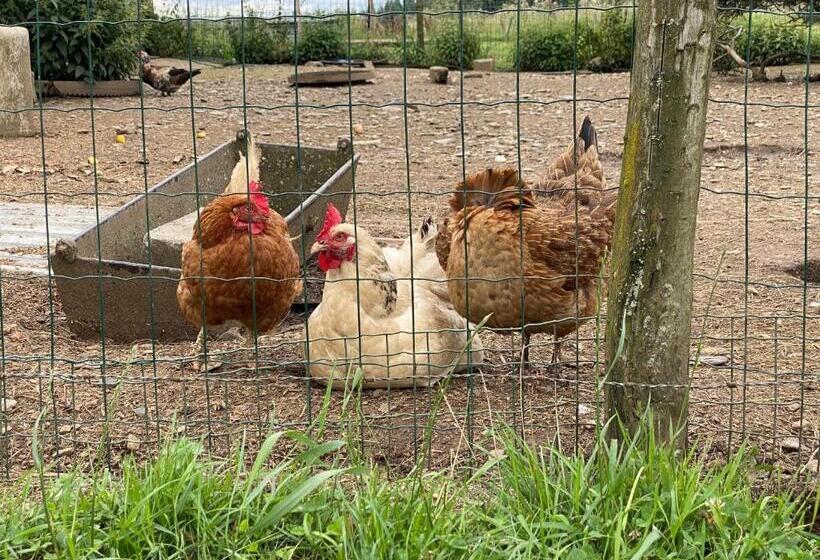 בית מלון כפרי Quiétude à La Ferme