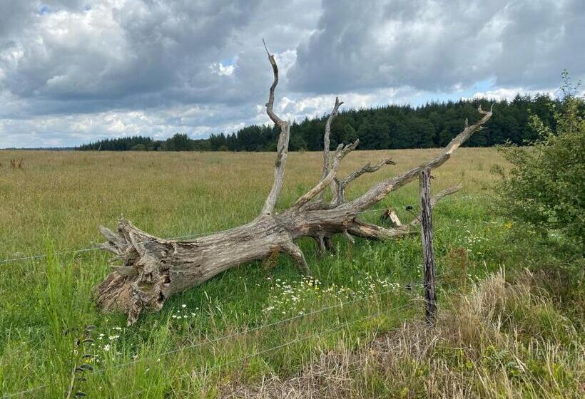 בית מלון כפרי Quiétude à La Ferme