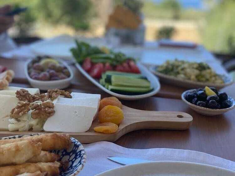 בית מלון כפרי Salvia Butik Sogut