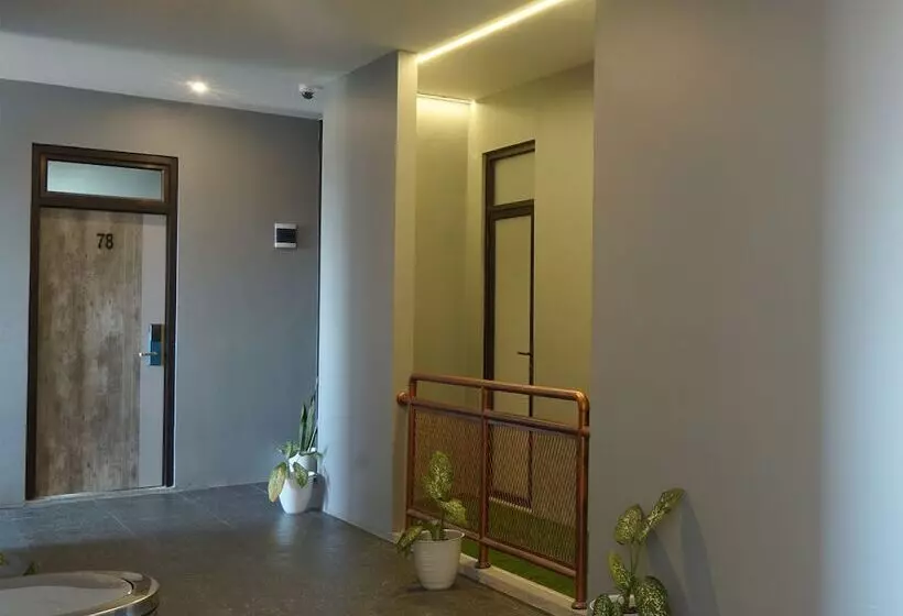 Pension Dparagon Matraman