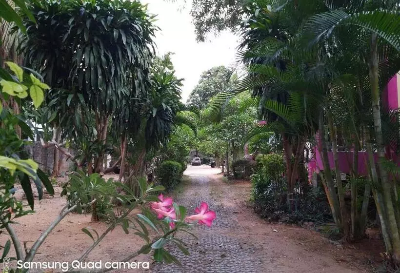 ペンション Mae Somboon House