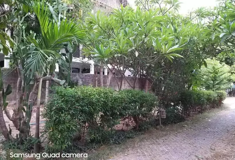 ペンション Mae Somboon House