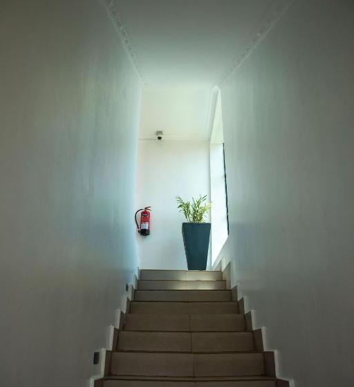 Senita Bed & Breakfast