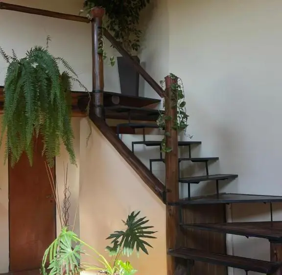 ユースホステル Posada Altos Del Consuelo