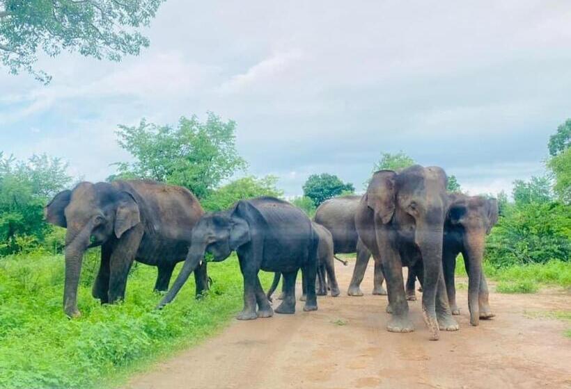 هتل Elephants Safari Cottages