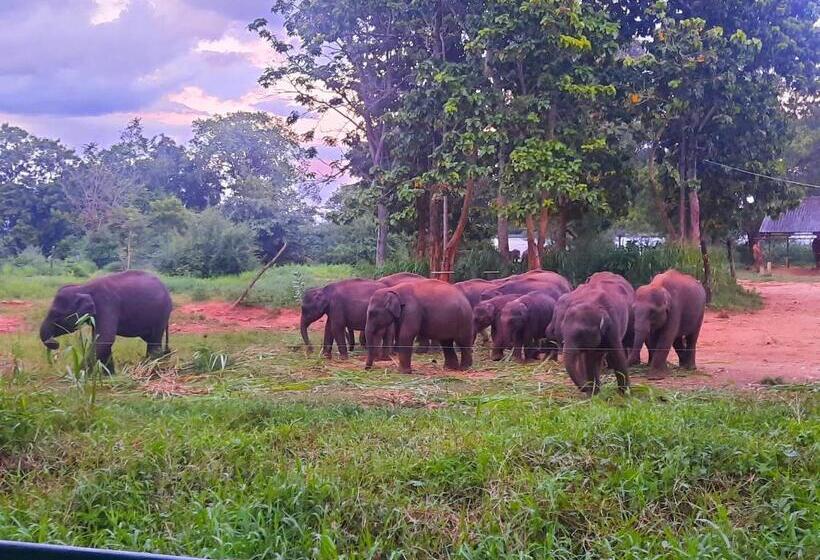 هتل Elephants Safari Cottages