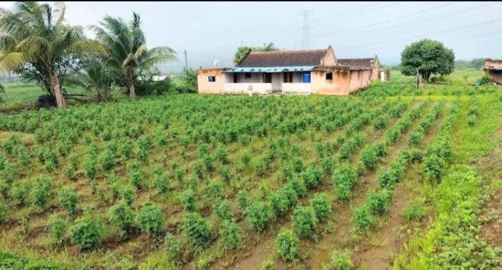 Отель Weekend Holiday Farmhouse Malshej Ghat, Naneghat