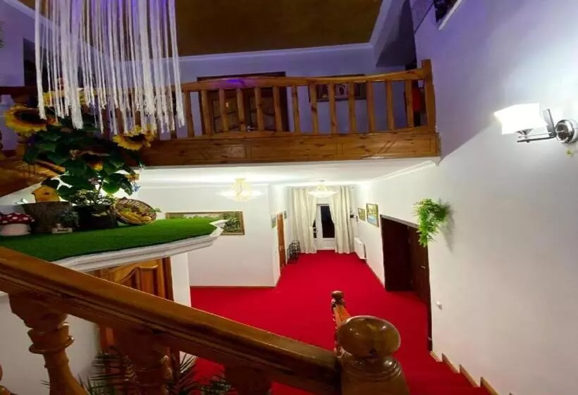 ペンション Alifa Lux Guesthouse