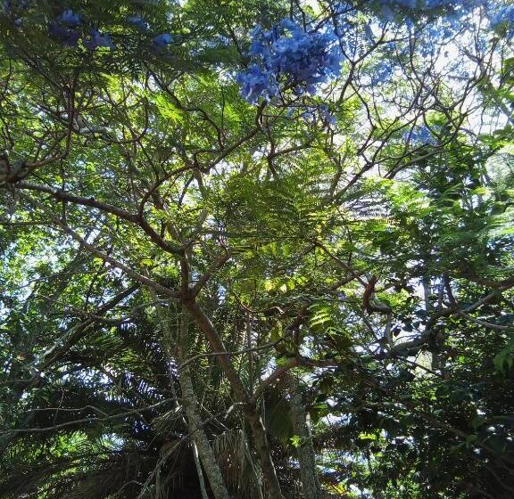 بنسيون Amigos Imaginarios