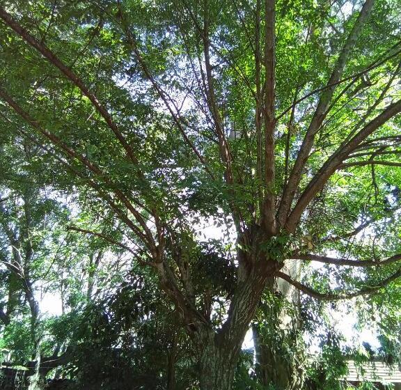 بنسيون Amigos Imaginarios