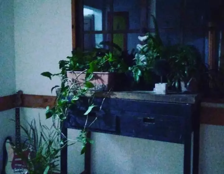 ペンション Amigos Imaginarios