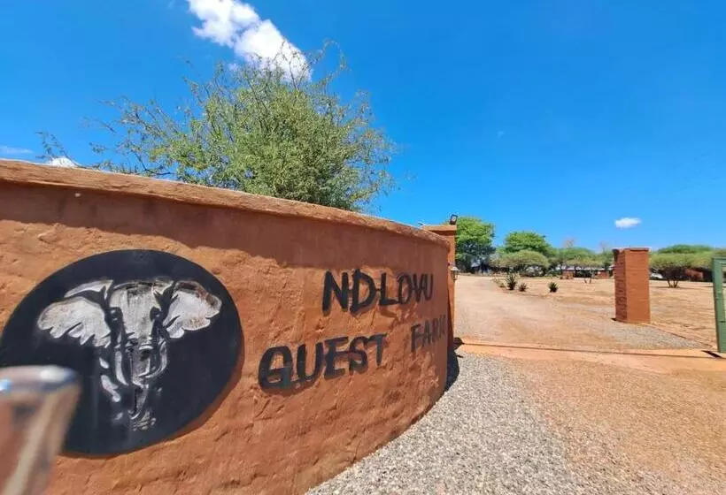 ペンション Ndlovu Guesthouse Northam