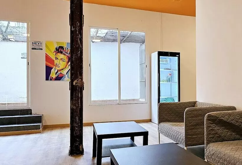 هاستل Arc House Pop Art