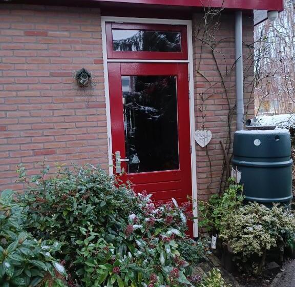 Bed And Breakfast Opus 209