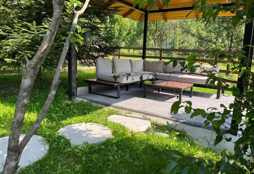 住宿加早餐 Story House Place