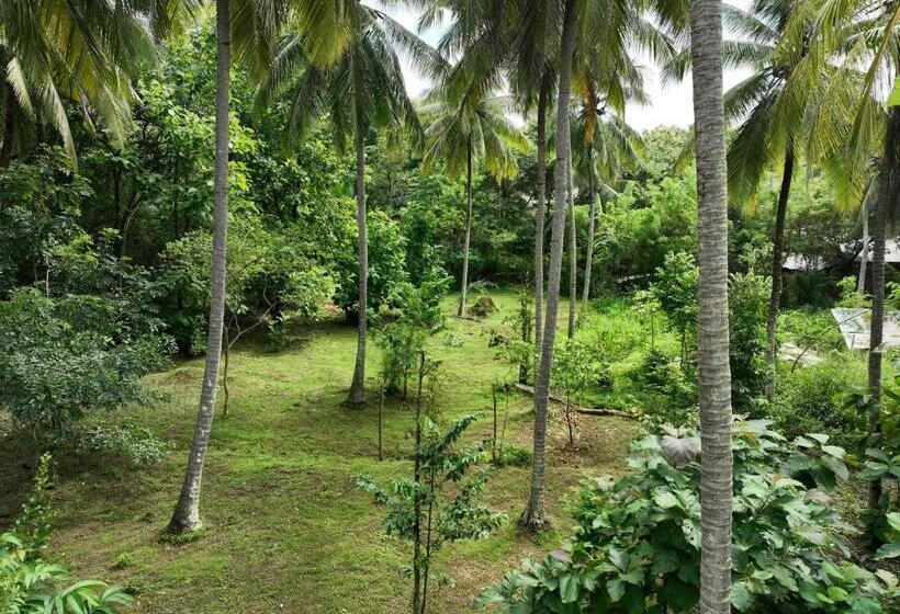 Pensionat Coconut Tree House