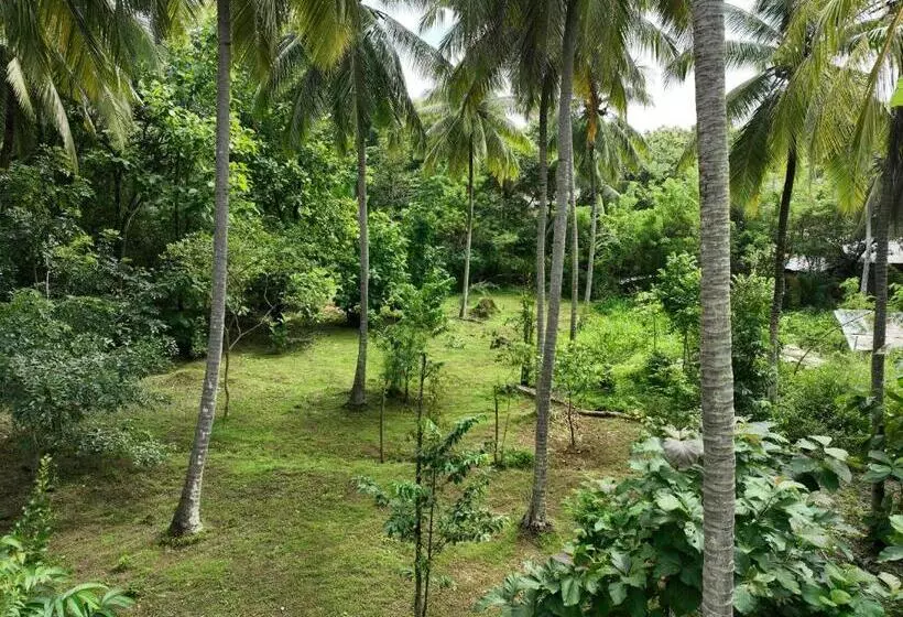 Majatalo Coconut Tree House