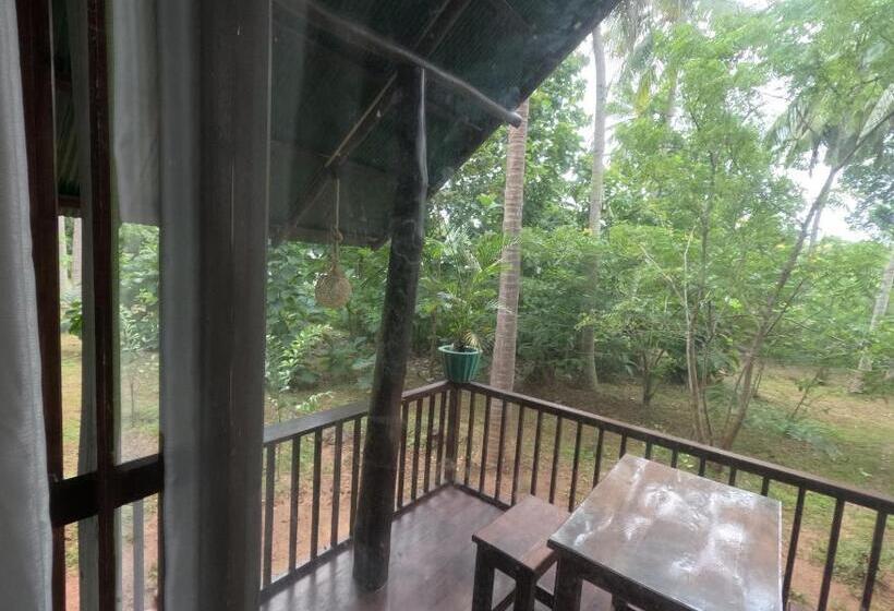 Pensionat Coconut Tree House