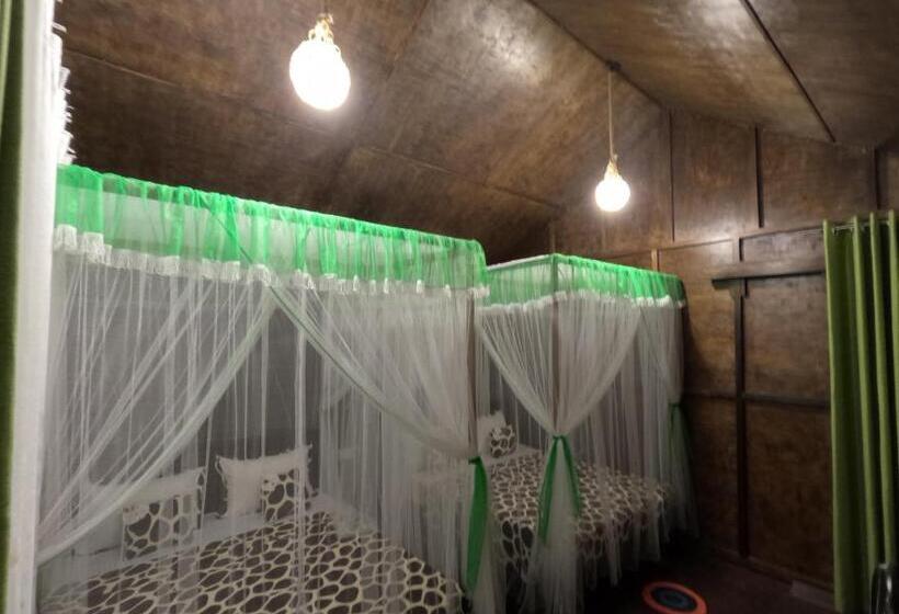 Pensionat Coconut Tree House