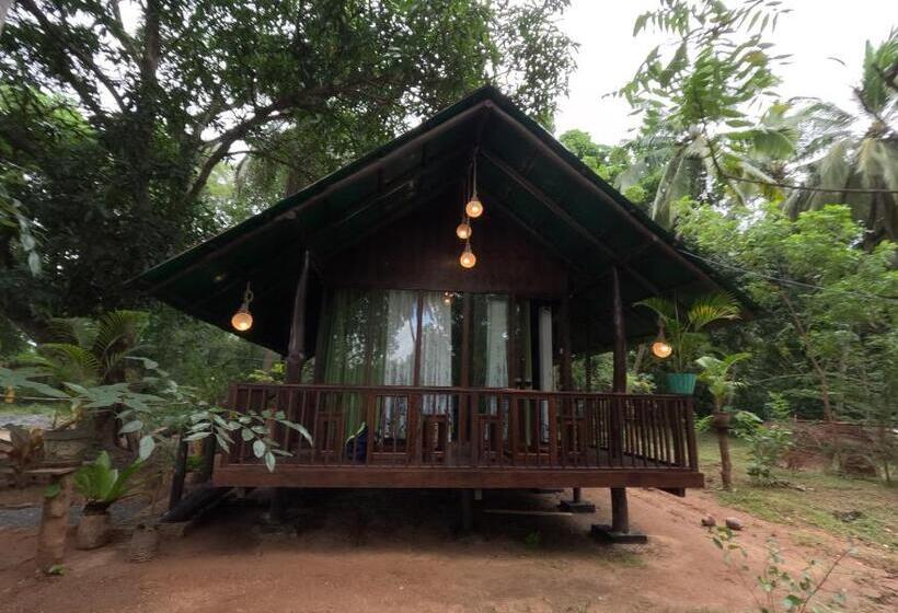 Pensionat Coconut Tree House