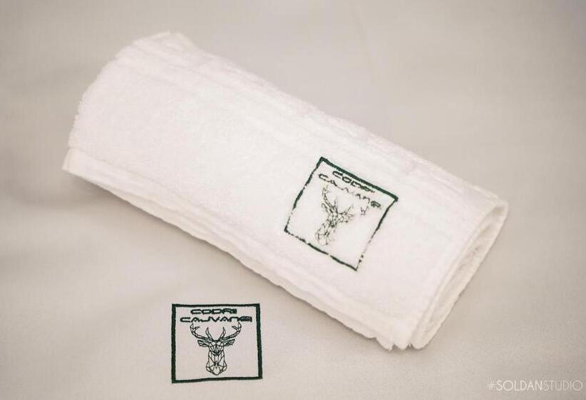 Pensão La Codrii Cajvanei