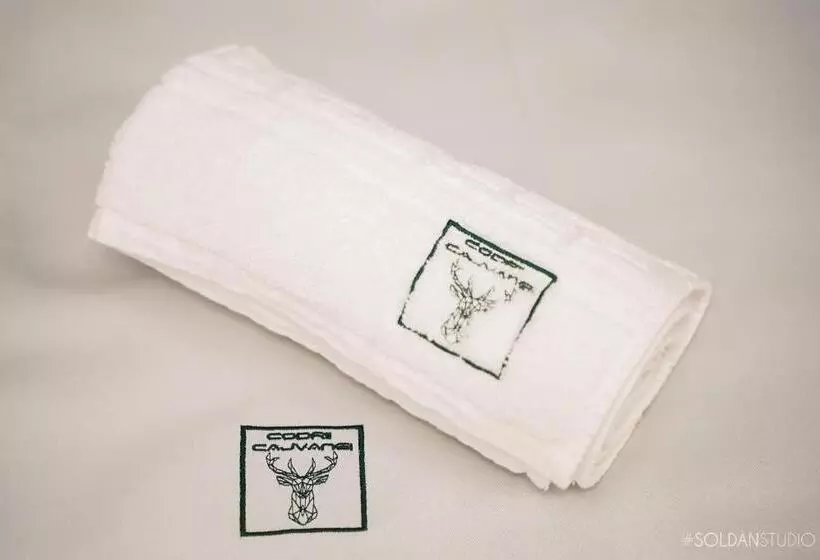 Majatalo La Codrii Cajvanei