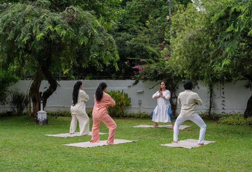 אתר נופש The Sacred Lotus Ayurveda Wellness Retreat