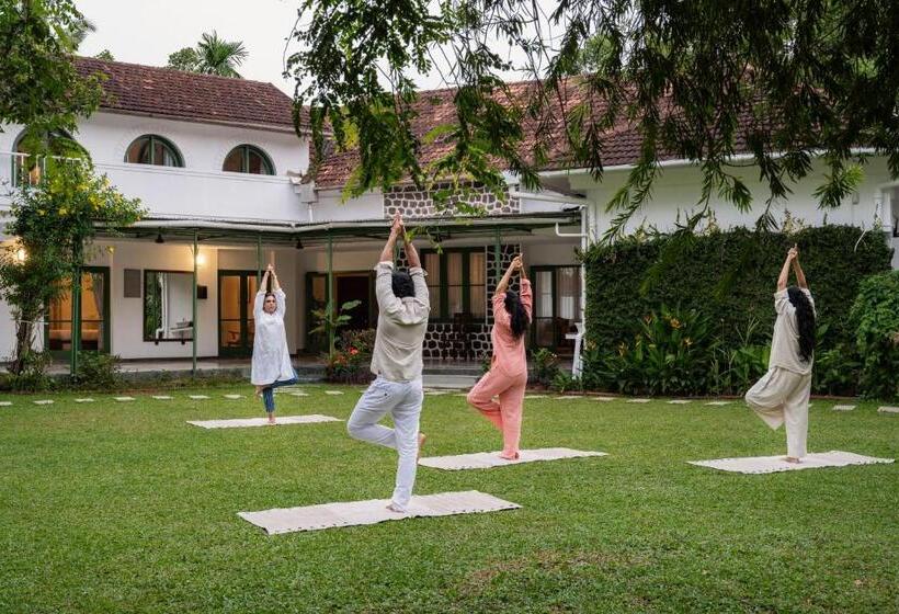 אתר נופש The Sacred Lotus Ayurveda Wellness Retreat