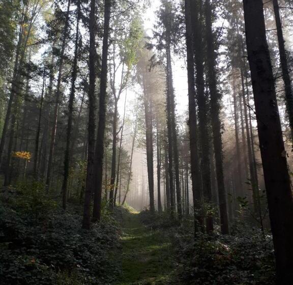 Bed and Breakfast Au Soin De La Vie