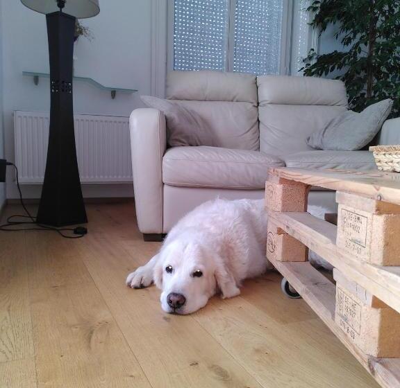 Bed and Breakfast Au Soin De La Vie