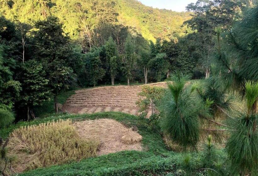 Hotel Forest Forest Barn