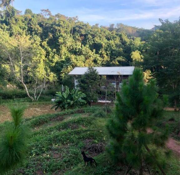 Hotel Forest Forest Barn