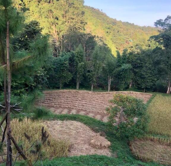 Hotel Forest Forest Barn
