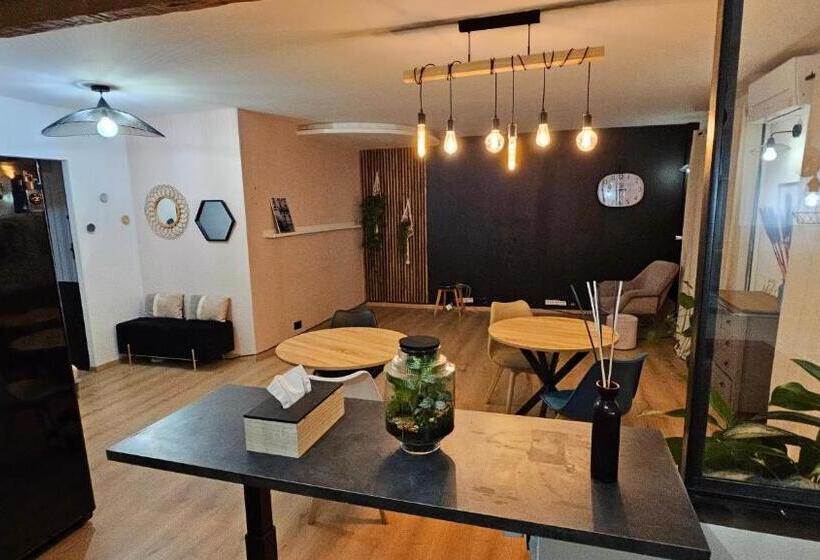 بنسيون Maison Des Voyageurs Cerise   Paris Orly