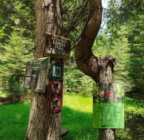 President Kop Apartman 106