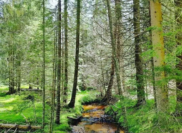 President Kop Apartman 106