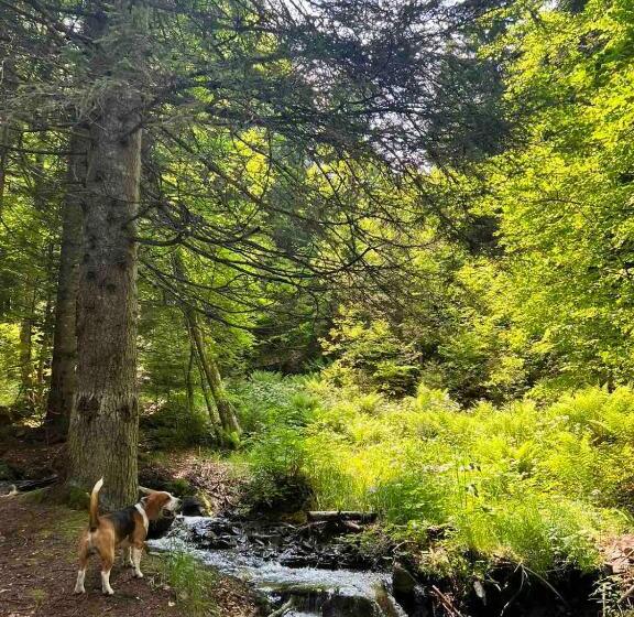 President Kop Apartman 106